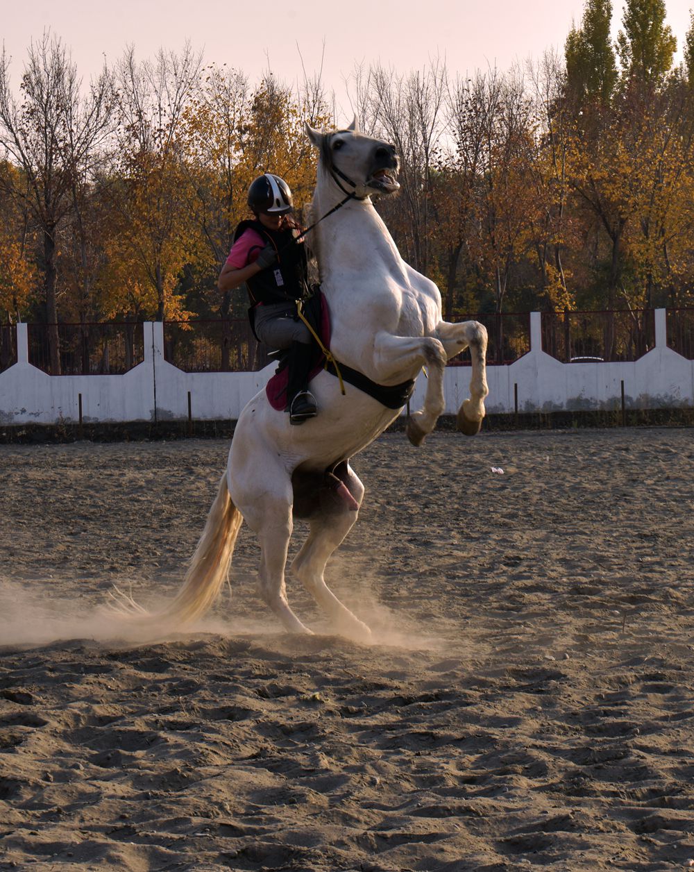 DSC_0476_.jpg