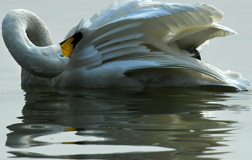 DSC_1329.JPG