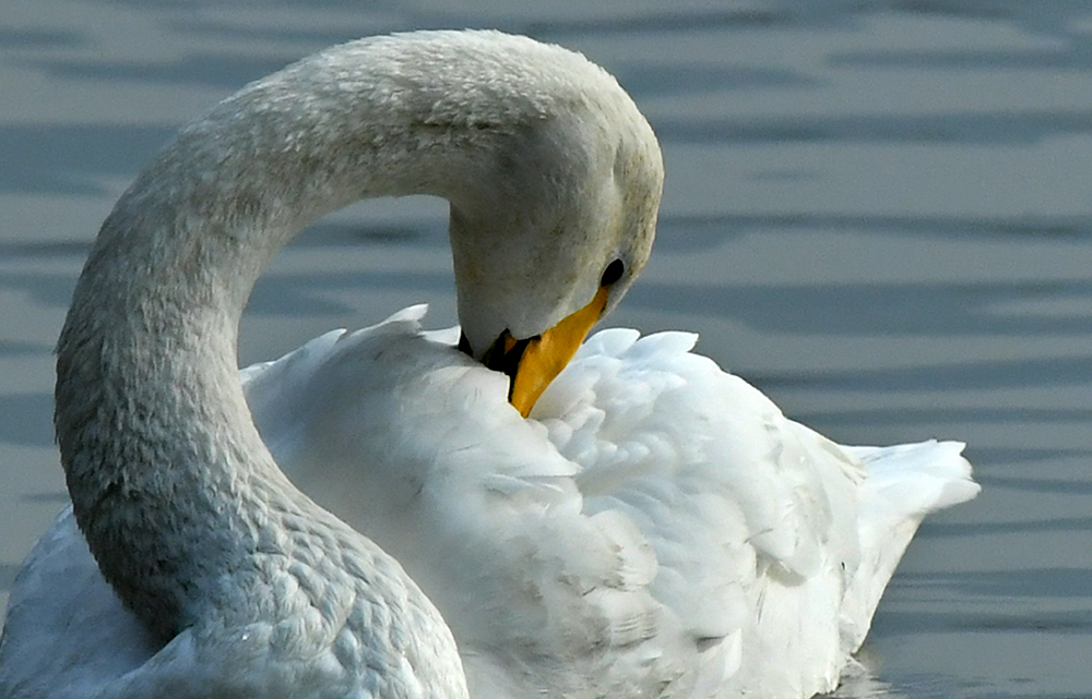 DSC_1408.JPG
