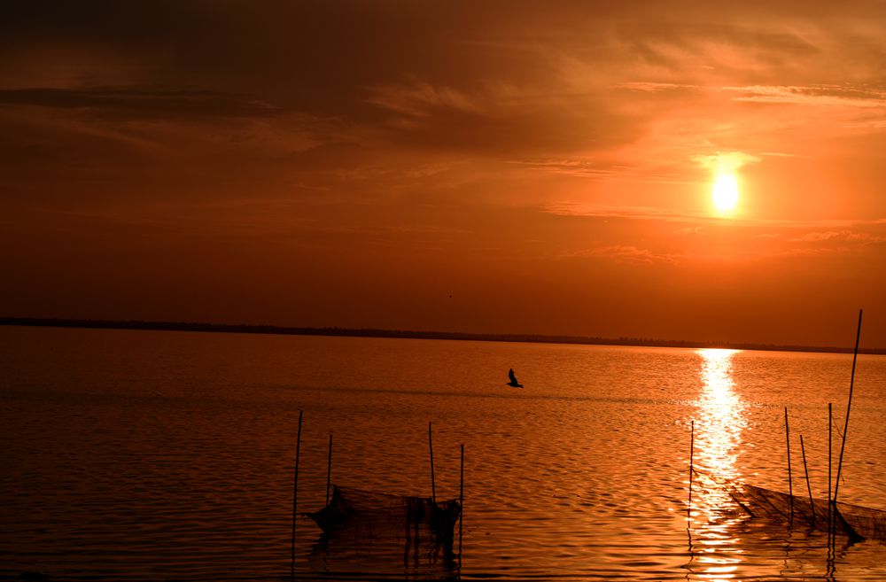 DSC_5599_.jpg