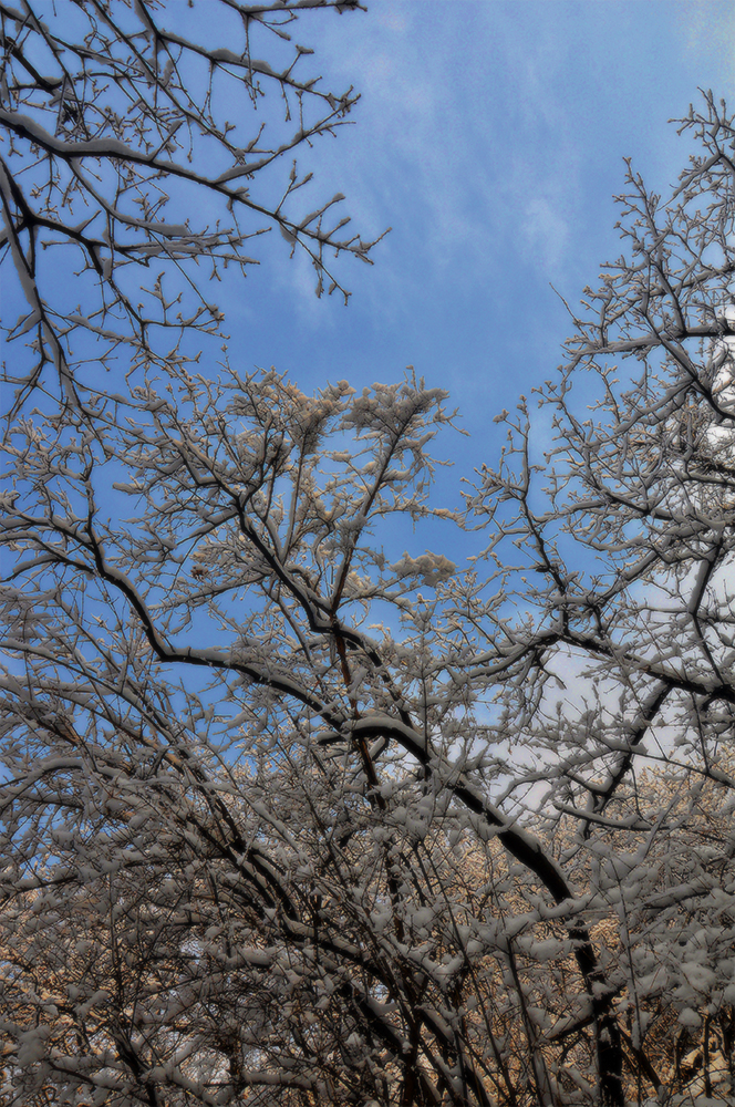 DSC_0222.JPG
