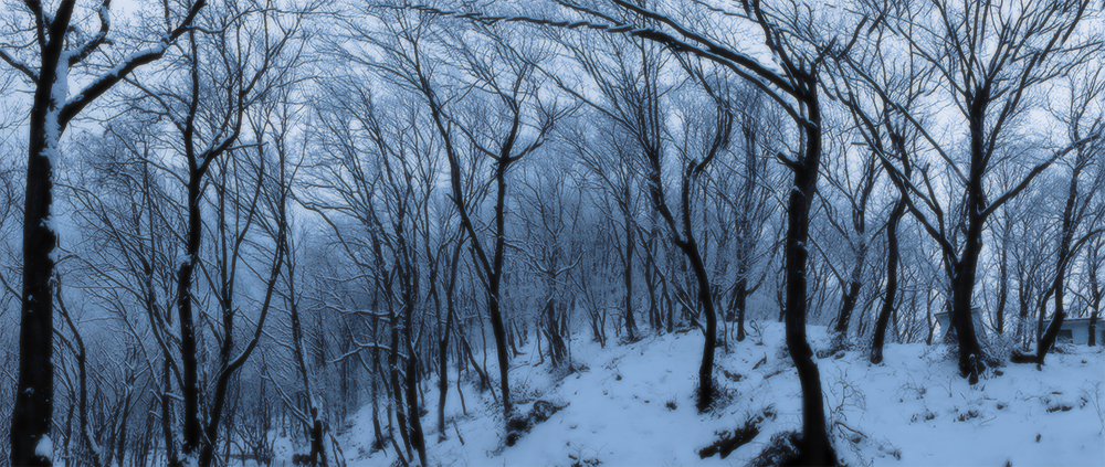 DSCF1472.JPG