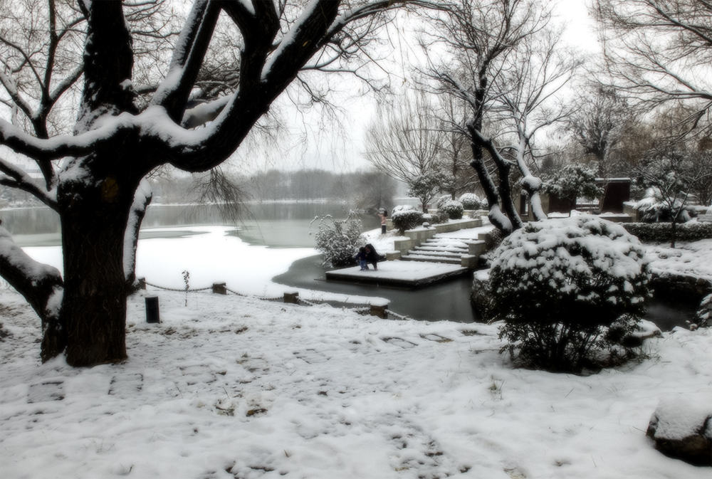 DSCF9479.jpg