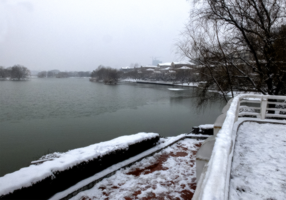 DSCF9511.jpg