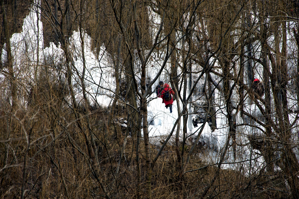 DSC_5176.jpg