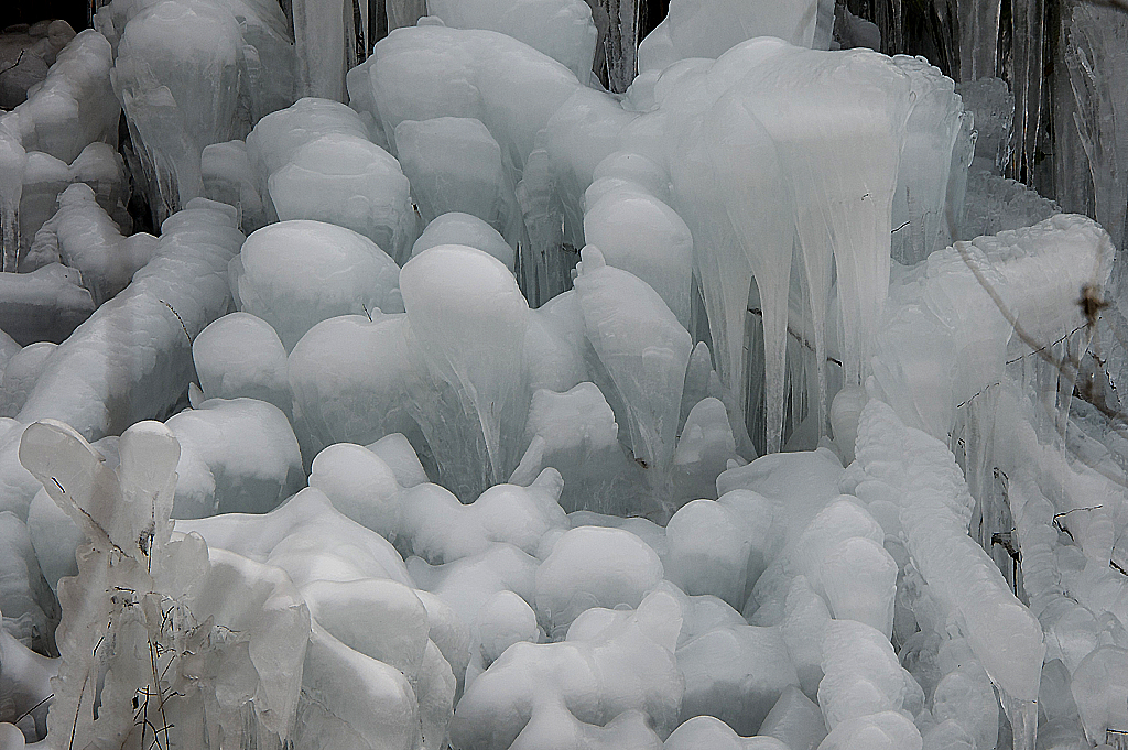 DSC_5224.jpg