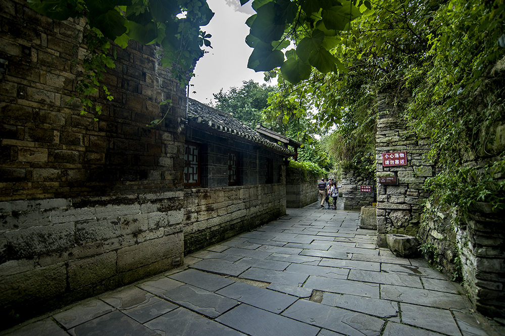 DSC_4845.jpg
