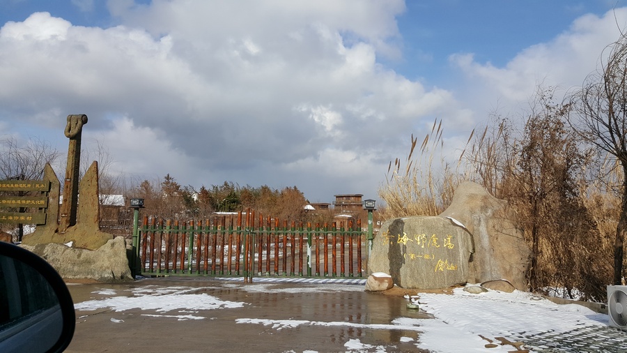 20180126_1426370.jpg
