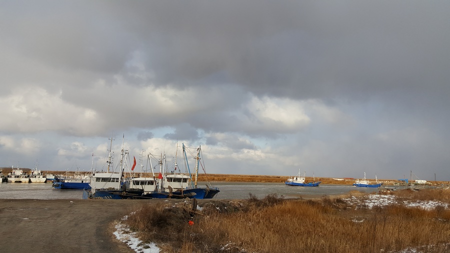 20180126_1606520.jpg