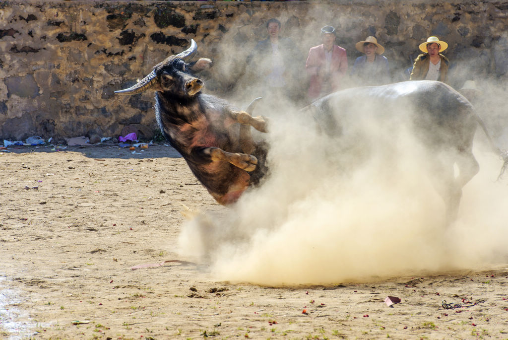 _DSC8295.jpg