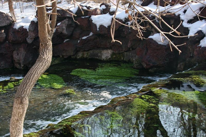 IMG_6372.jpg