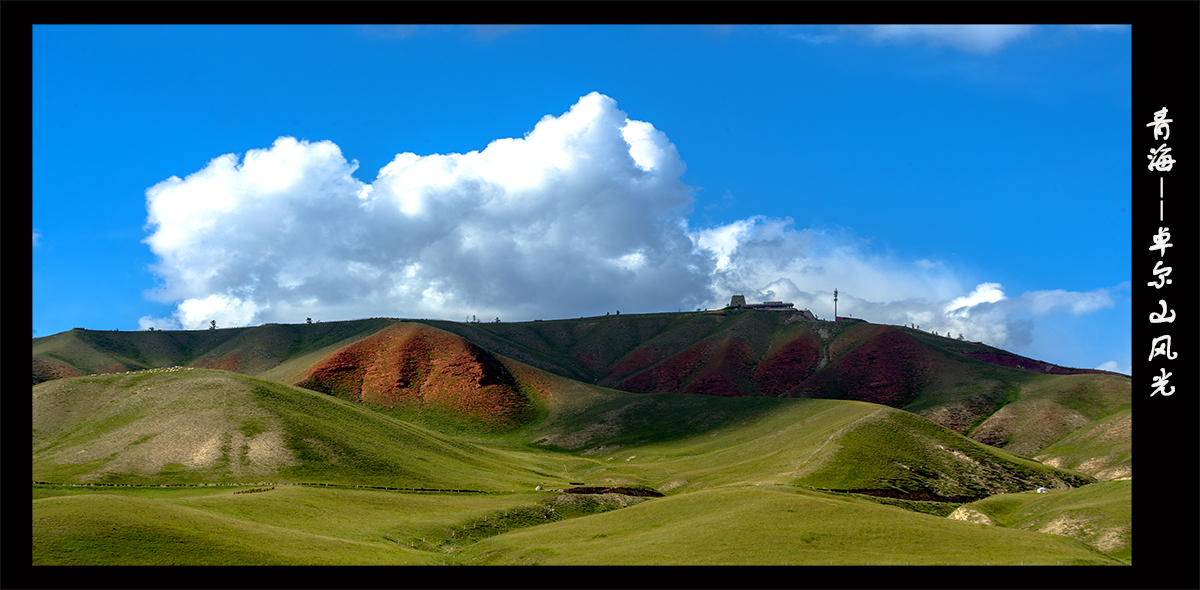 DSC_0918.jpg
