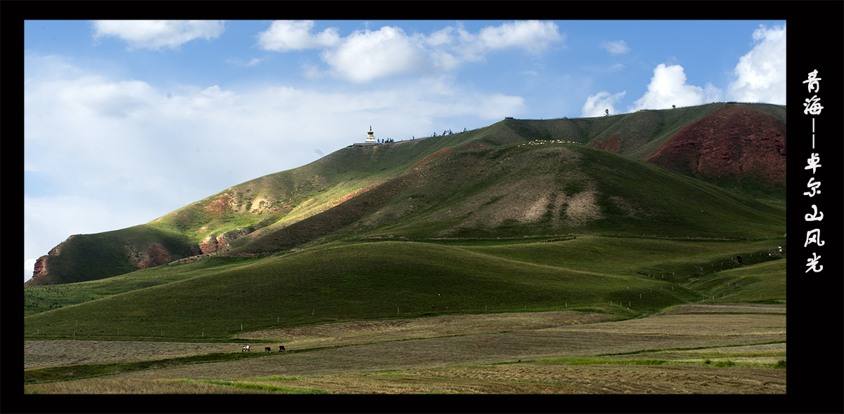 DSC_0921.jpg