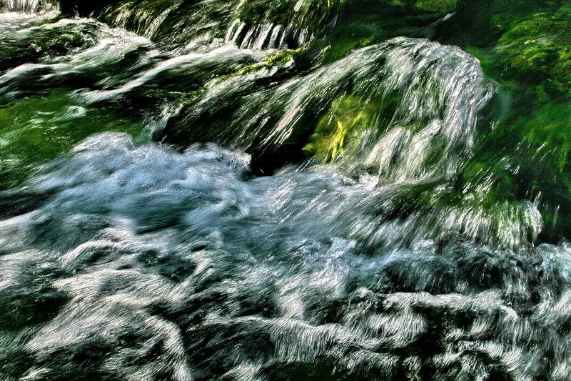 IMG_6354.jpg