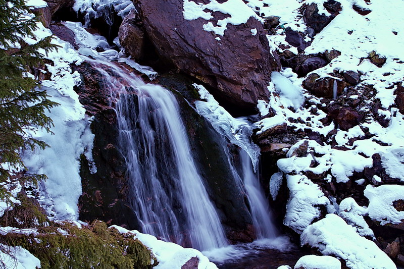 CRW_5303.jpg