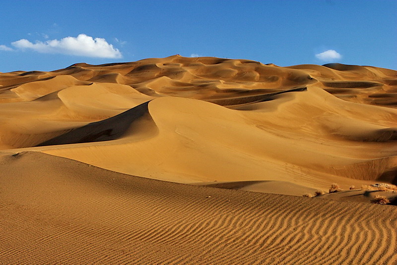 CRW_6539.jpg