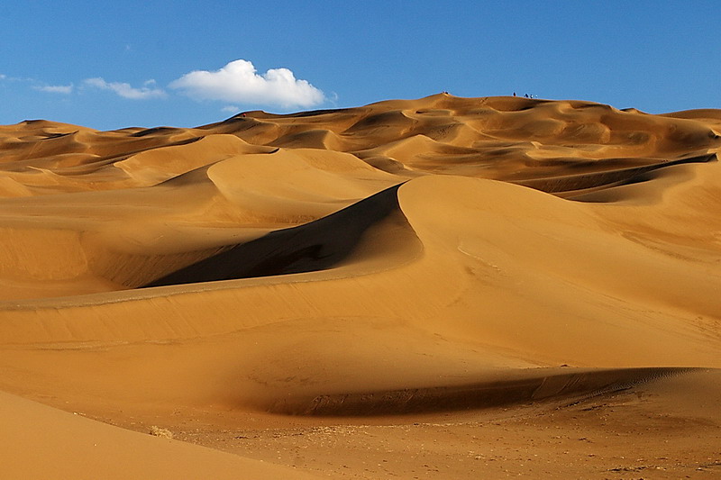 CRW_6540.jpg