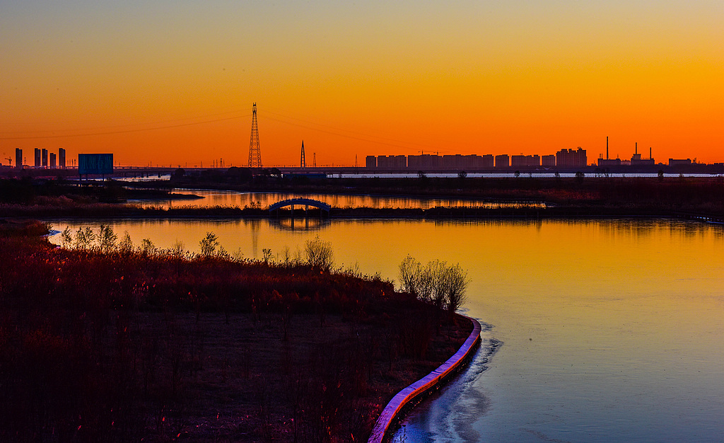 DSC_2787.jpg