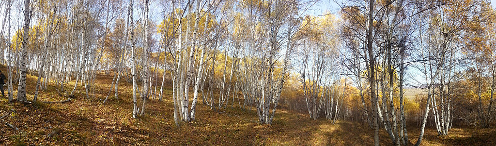 20140928_093652.jpg