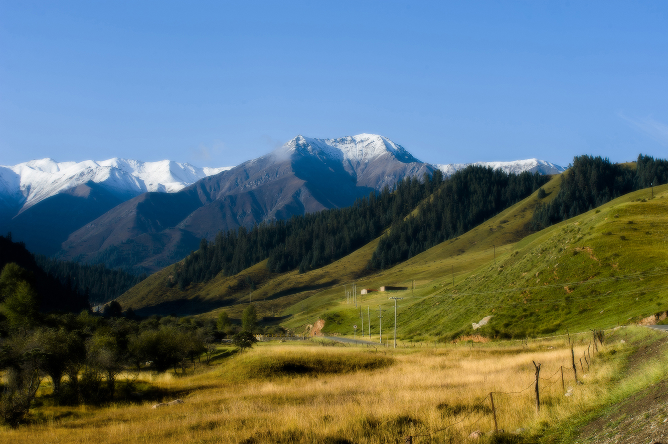 DSC_0147.jpg