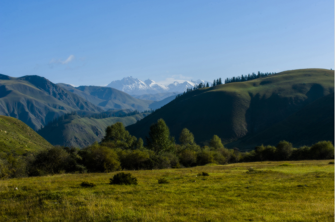 DSC_0830.jpg