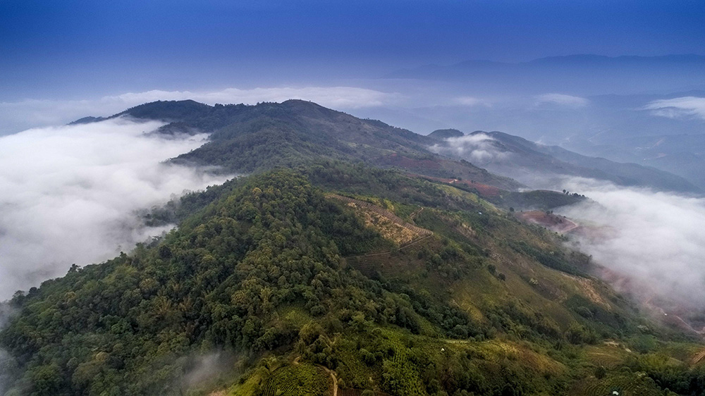 DJI_0167.jpg