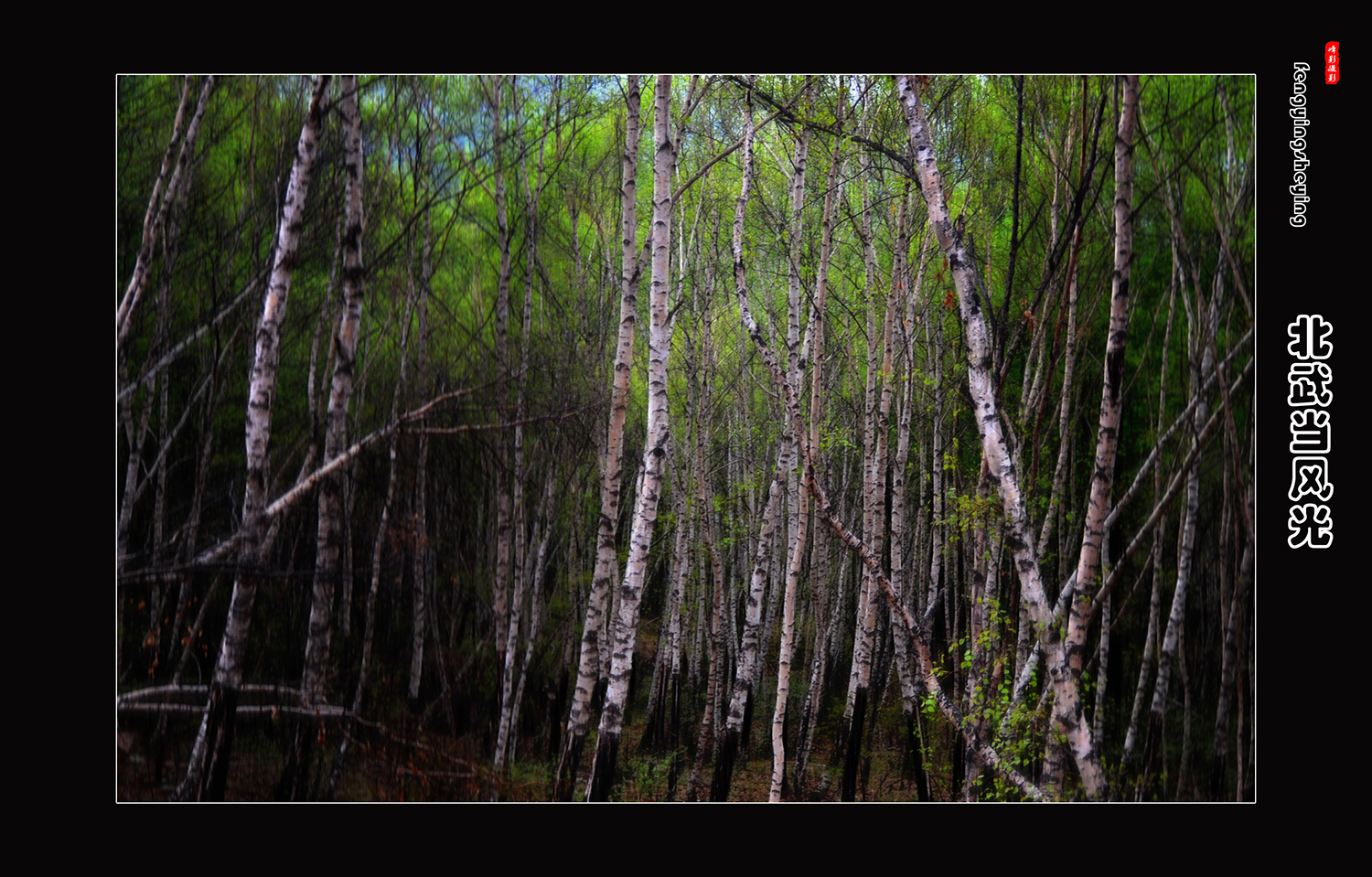 DSC_0006.JPG