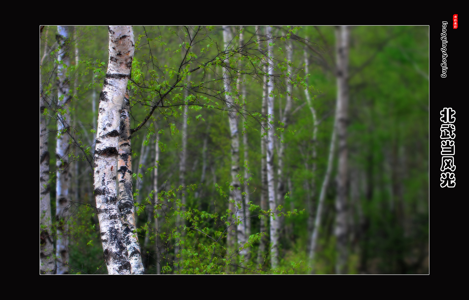 DSC_0218.JPG