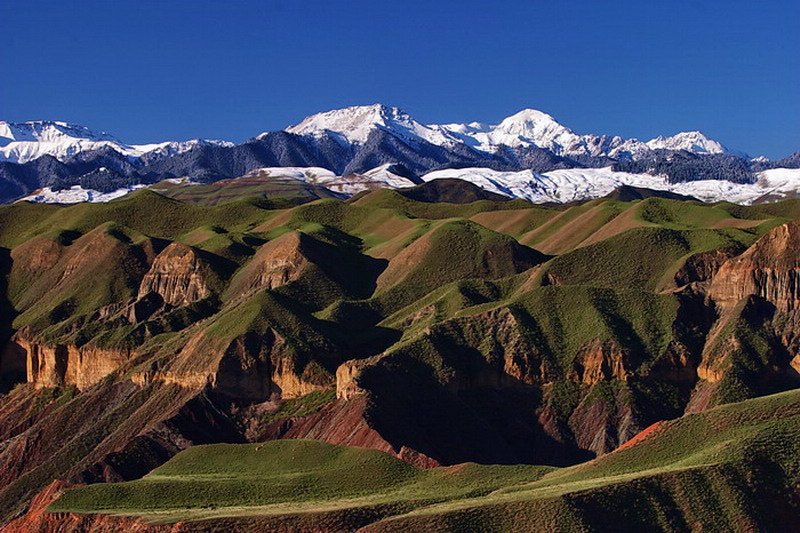 CRW_7583.jpg