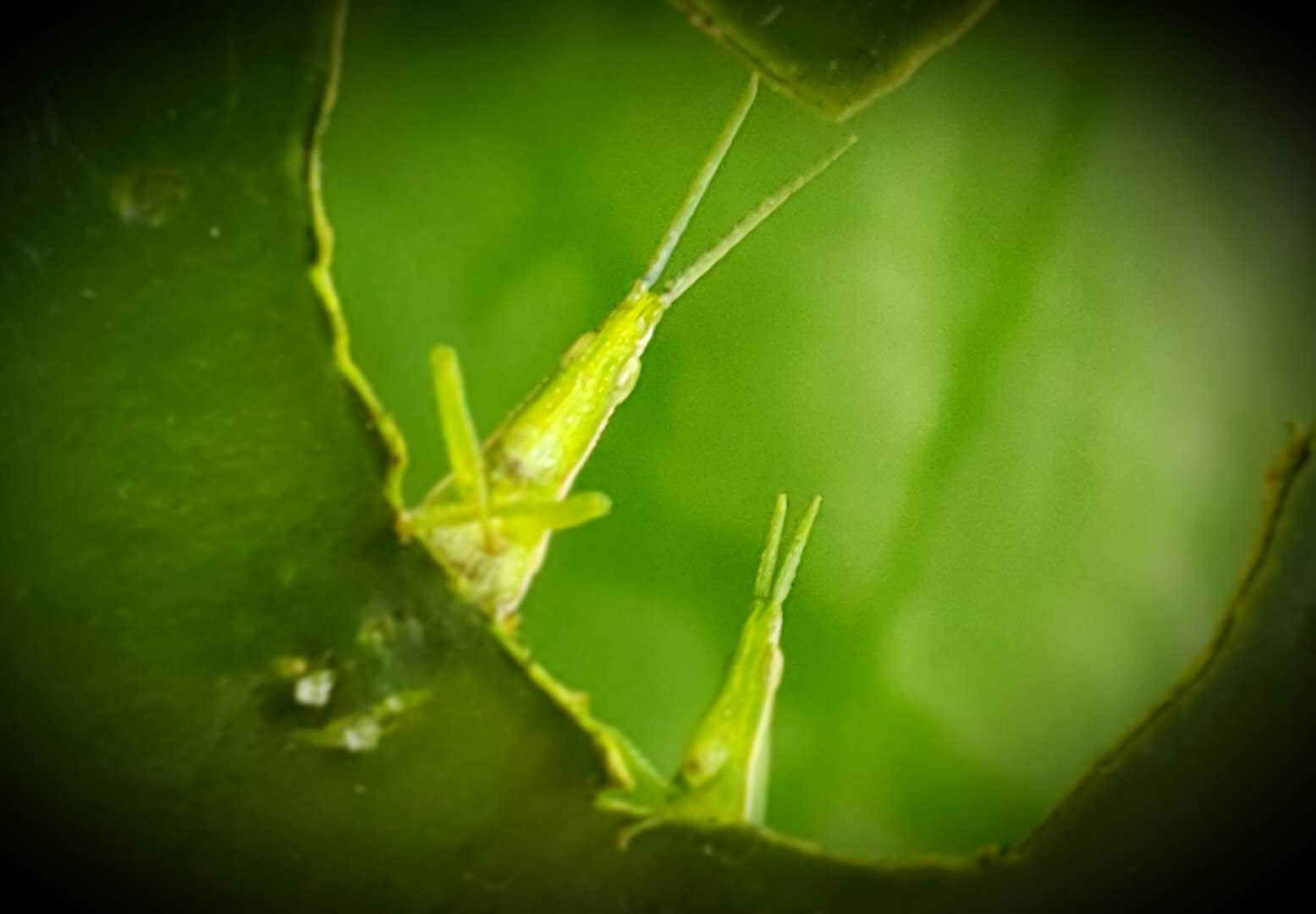 ΢ͼƬ_20180704151951.jpg
