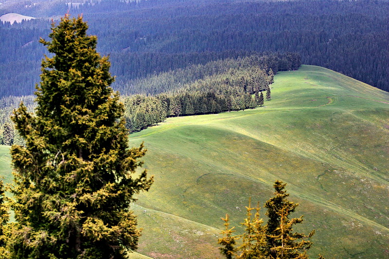 IMG_5189.jpg
