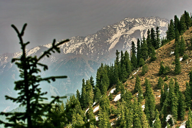 IMG_5200.jpg