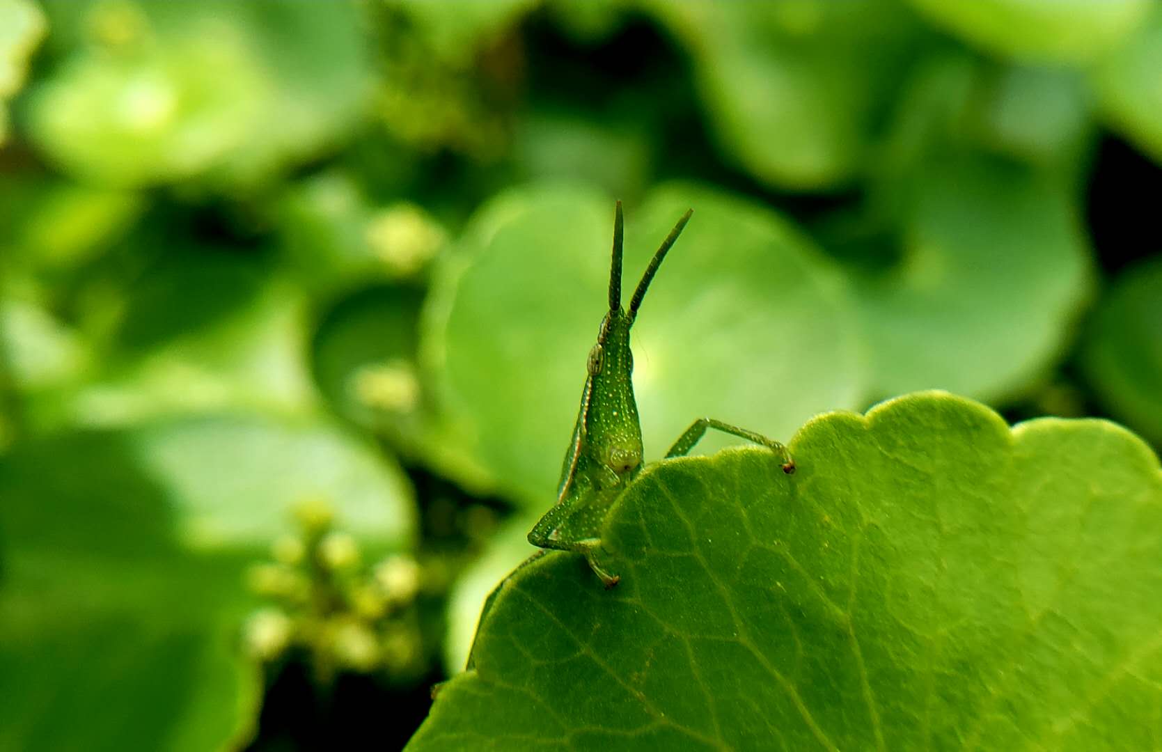 ΢ͼƬ_20180710145718.jpg