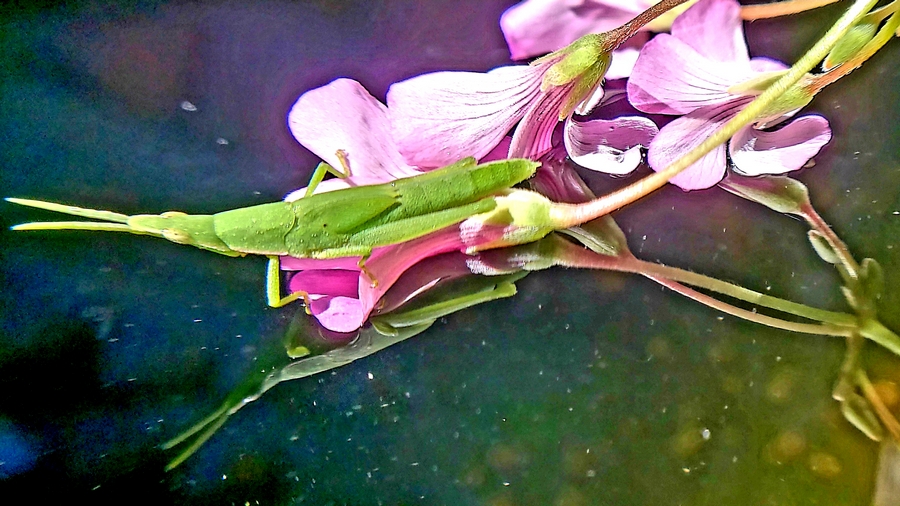 ΢ͼƬ_201807150921320.jpg