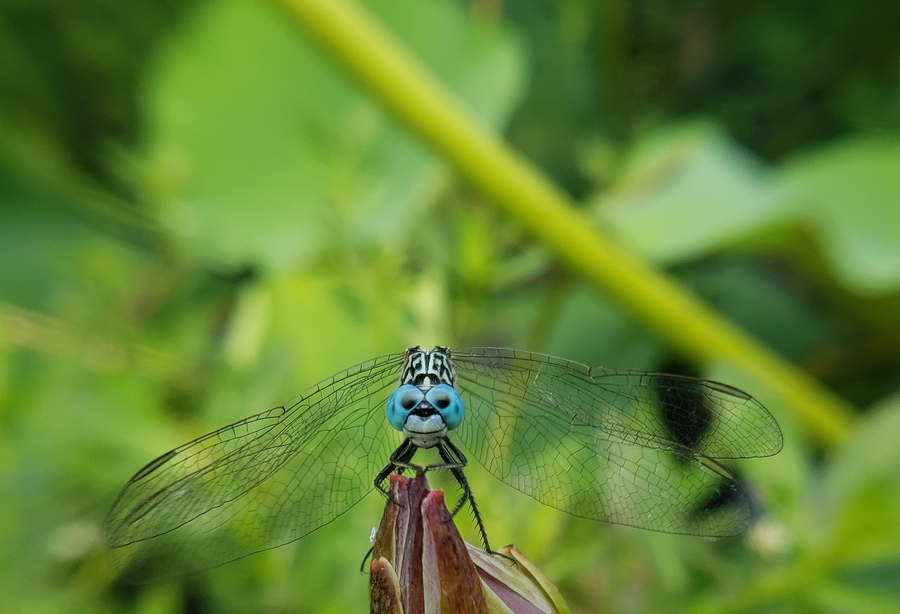 20180721_1007440.jpg