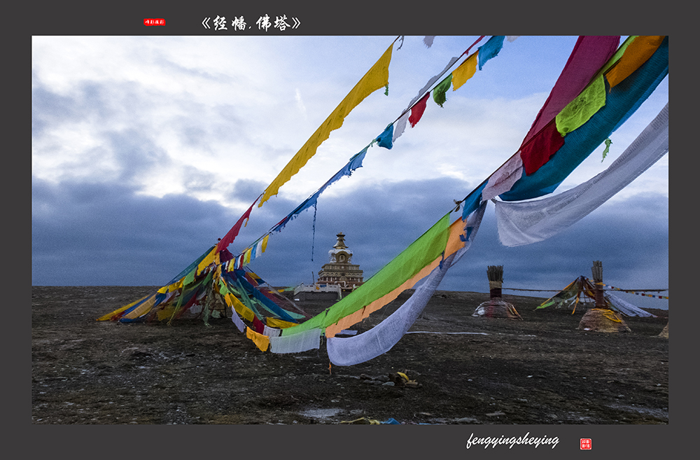 DSCF8980.jpg