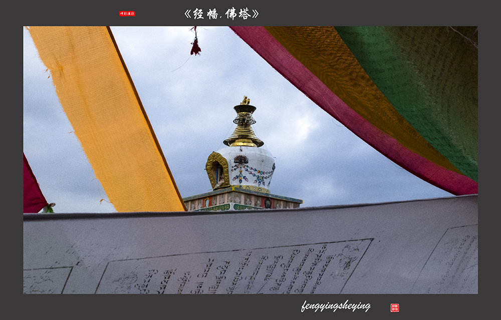 DSCF8987.jpg