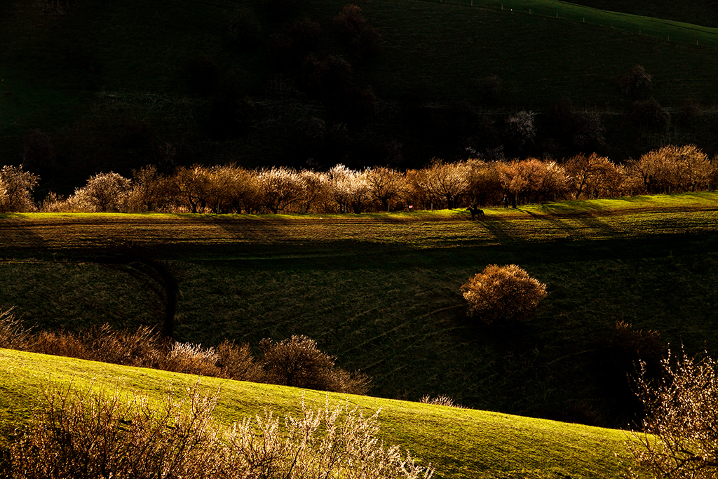DSC01802a.jpg