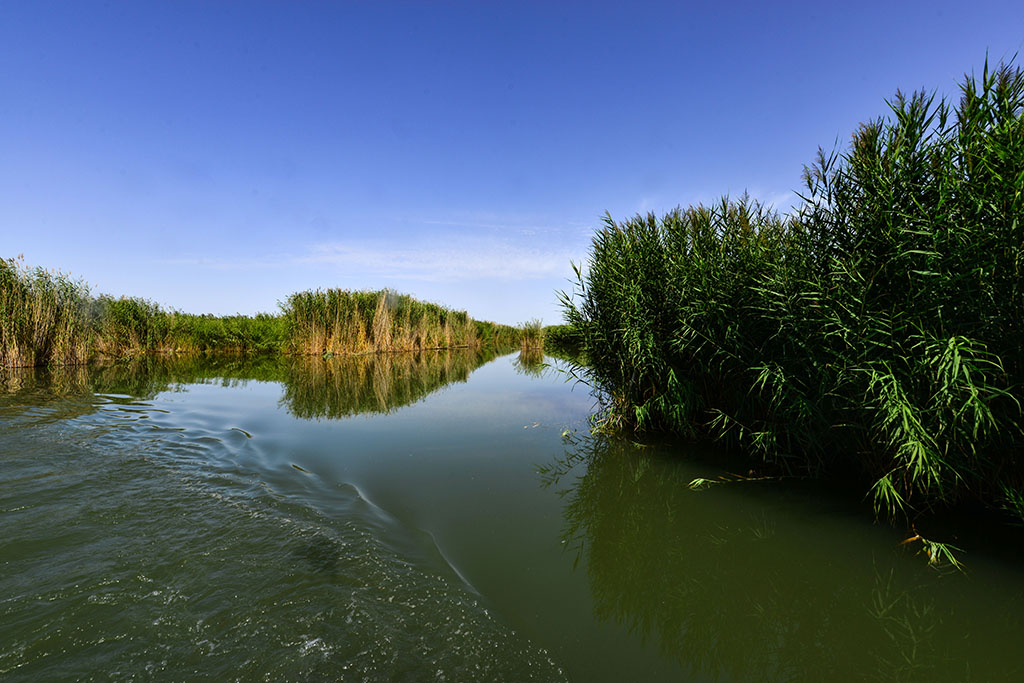 DSC_7812a.jpg