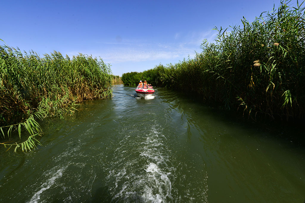 DSC_7816a.jpg