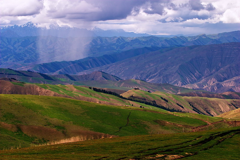 CRW_0238.jpg
