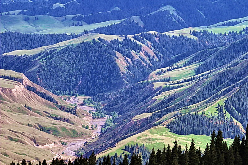 CRW_0264.jpg