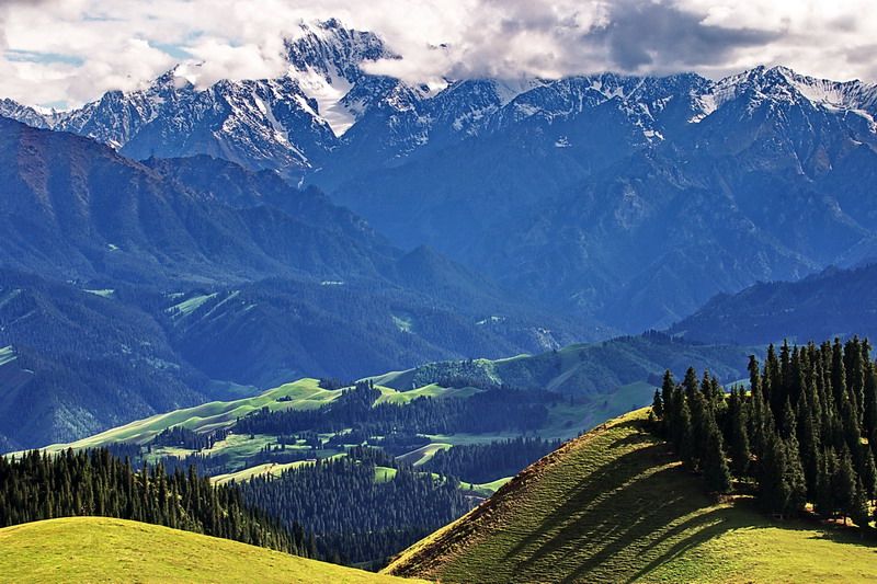 CRW_0278.jpg