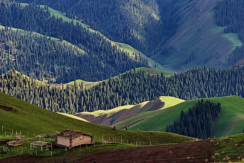 CRW_0297.jpg