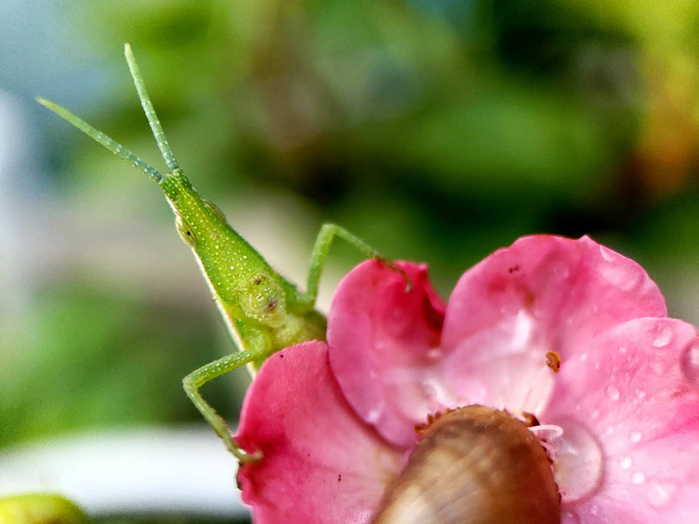 ΢ͼƬ_20180829091621.jpg