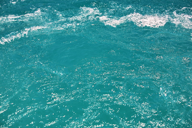 IMG_0899.jpg