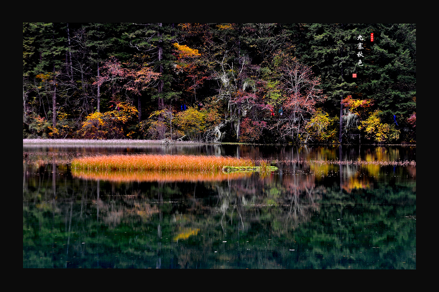 DSC_0014.JPG