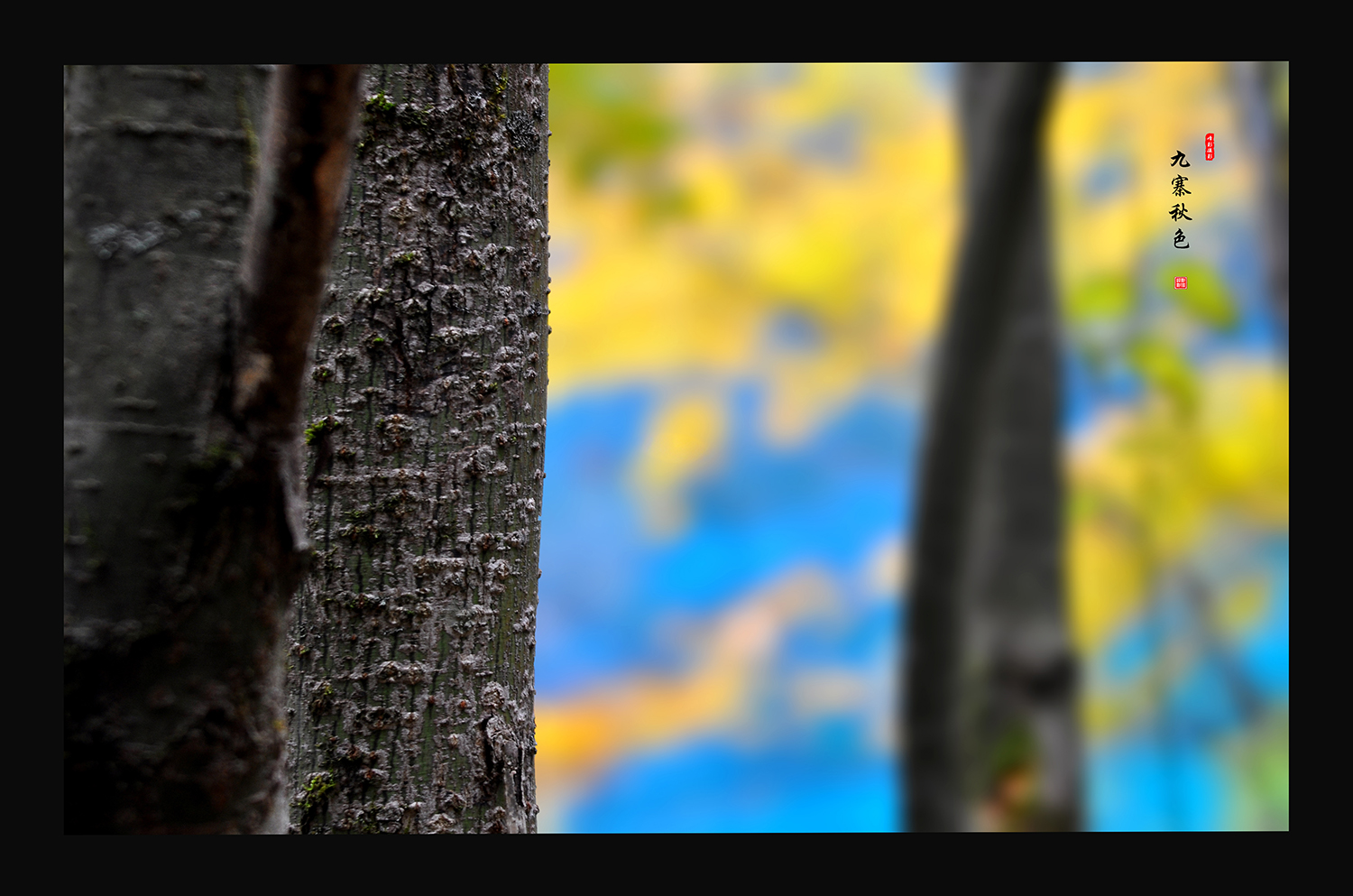 DSC_0085.JPG