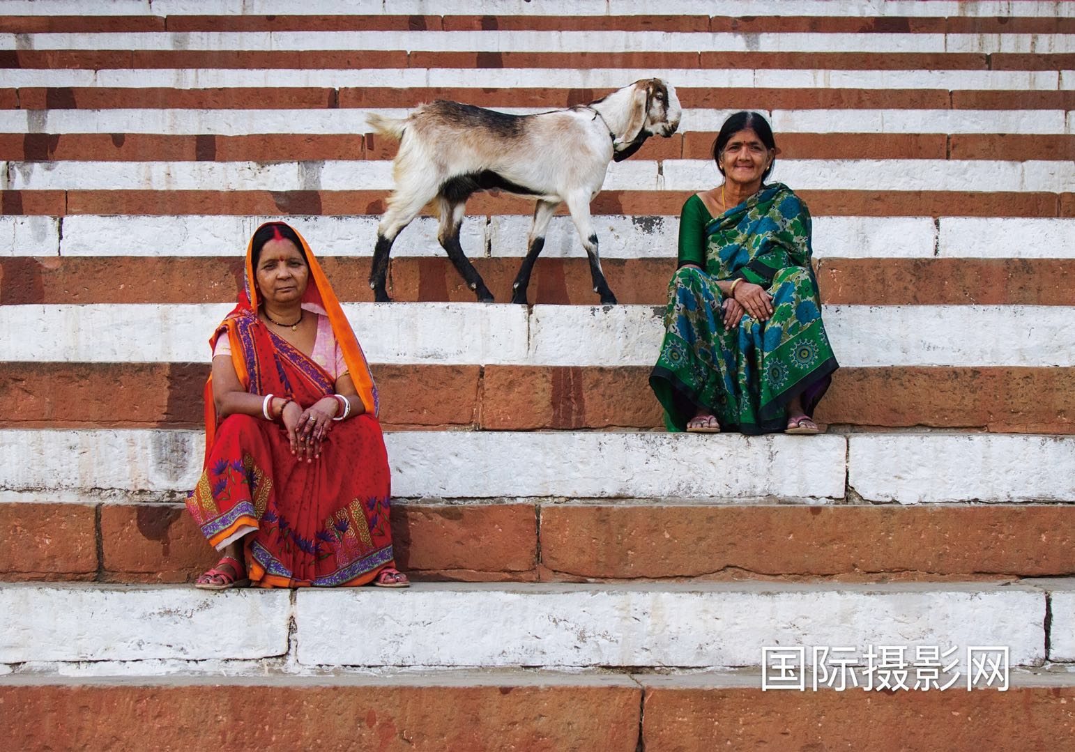 ƷSheep and womenߣߣnese ArI.jpeg