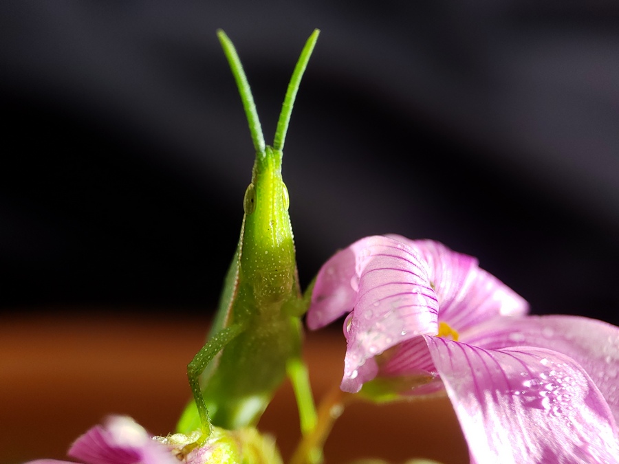 20180914_0753400.jpg